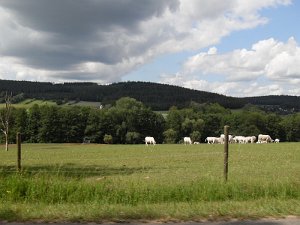 Rhoen-Radmarathon Nichtraucher 549